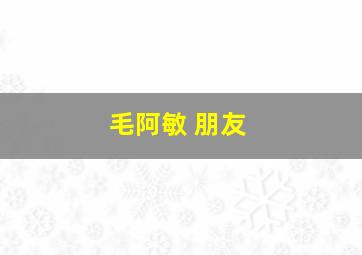 毛阿敏 朋友